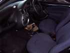 Click on this photo of the Ford Ka 1.3 Collection 3 door to enlarge... for sale at Woodbourne Service Station Brighton